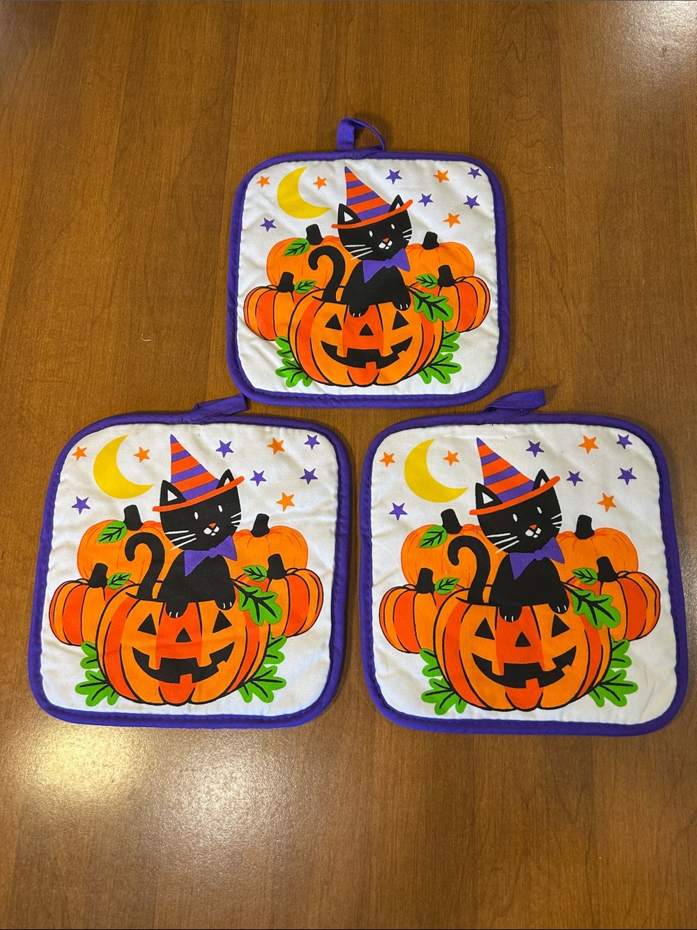 Halloween Black Cat Pumpkin Pot Holders - Purple Trim